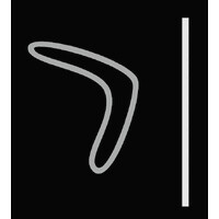 WolfBoomerang logo - Similar company to Alivean