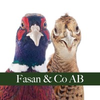 Fasan & Co AB logo - Similar company to Stream Technology