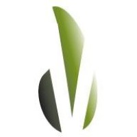 BrainVine logo - Similar company to Brainvine