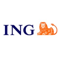 ING Usługi dla Biznesu S.A. logo - Similar company to Firmove