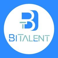 BiTalent HR Consulting logo - Similar company to Sensus Change Consulting, S.C.