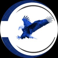 BLUE EAGLE logo - Similar company to Eagle Eye Resources