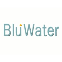 Bluwater Consulting