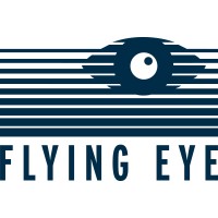 FLYING EYE Managementberatung für Medieninvestitionen GmbH logo - Similar company to Risklio Gmbh