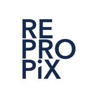 Repropix Corp. logo - Similar company to Bhamtours