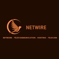 NETWIRE : RESSOURCE HUMAINE logo - Similar company to Calys Ressource Humaine