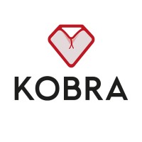 Kobra logo - Similar company to Xalalka