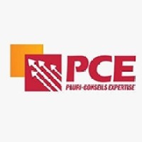 CABINET PLURI CONSEILS EXPERTISES logo - Similar company to Mondoukou Resort