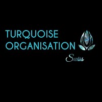 Turquoise Organisation Swiss logo - Similar company to Baubasis Ag