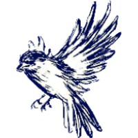Soaring Capital logo - Similar company to Quirkchat