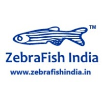 Zebrafish India logo - Similar company to Zebrafish