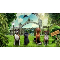 Dogs About Town logo - Similar company to Raw Feeding Veterinary Society