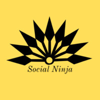 Social Ninja PH logo - Similar company to Exakt Data Solutions