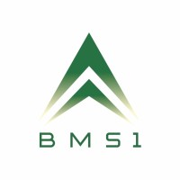 BMS1 Solution logo - Similar company to Benchmrx