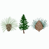 Pine Needles And Mid Pines Resorts