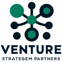 Venture Strategem Partners Consulting logo - Similar company to Venture X Spain