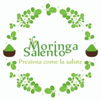 ims srl