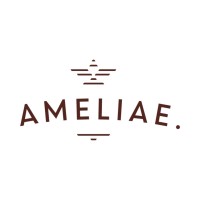 Amelia E. logo - Similar company to Podnikatel.Cz