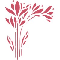 Compagnie Parento, Inc.