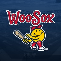 Worcester Red Sox logo - Similar company to Diamond Baseball Holdings