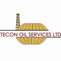 Tecon Group logo - Similar company to Danwillbeth Partners