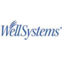 Wellsystems