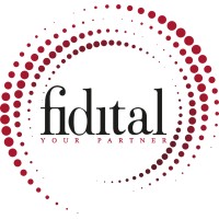Fidital: Audit Assurance & It Advisory