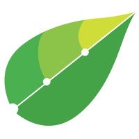 Mintrics logo - Similar company to Editx Studio