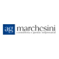 Ag Marchesini - Consultoria E Gestão Empresarial