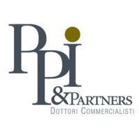 PPI & Partners logo - Similar company to Studio Sr Consulting