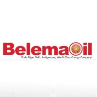 Belemaoil Producing Limited logo - Similar company to Digitaldevour.Com
