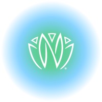 Neuvana logo - Similar company to General Dynamics Itronix