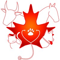 Canada VetWork Inc logo - Similar company to Qrew Ai
