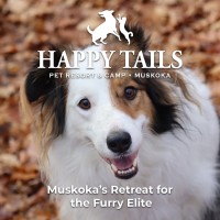 Happy Tails Pet Resort & Camp logo - Similar company to Pet Evolution Oregon