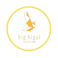 Big Bigul India logo - Similar company to Tradingfx