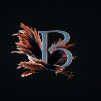 Belmus Design logo - Similar company to Hello Pop Design