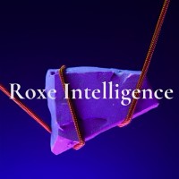 Roxe Intelligence logo - Similar company to Softnexa