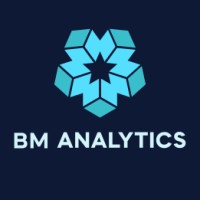 BM-Analytics logo - Similar company to Andere Capital - Investment & Business Accelerator