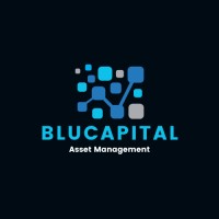 BluCapital logo - Similar company to Blu Capital Resources, Llc