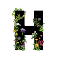 Happy Herb Co logo - Similar company to Happy Herbal Care