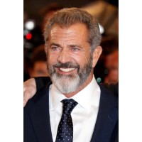 Mel Gibson logo - Similar company to Mel Gibson