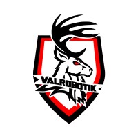 Valrobotik logo - Similar company to Insaerospace