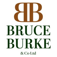 Bruce Burke & Co Ltd logo - Similar company to Elliptic Systems