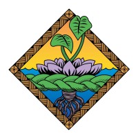 AANHPI ‘Ohana Center of Excellence logo - Similar company to Mid-America Addiction Technology Transfer Center