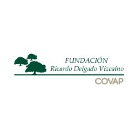 Fundación Ricardo Delgado Vizcaíno logo - Similar company to Tinvest