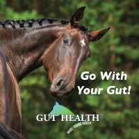 Basic Equine Health logo - Similar company to Sleep Methods Inc.