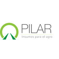 Pilar Insumos logo - Similar company to Control De Procesos S.R.L.