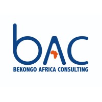 Bekongo Africa Consulting logo - Similar company to Cabinet Qadec