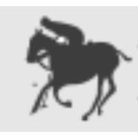 KIDS POLO ASSOCIATION logo - Similar company to William Polo