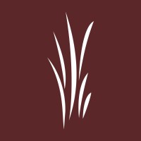 Luana Savings Bank logo - Similar company to Propeller Ai